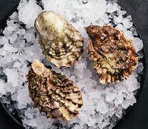 Устрица Ромаринка