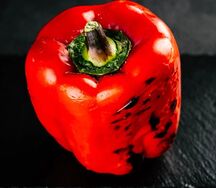 Перец болгарский 