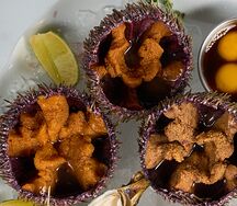 Морские Ежи