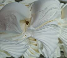 Мороженое сырное