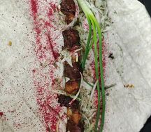 Шашлык из говяжьей печени и курдюка