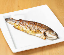 Форель радужная