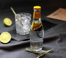 Schweppes Tonic