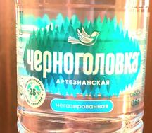 Черноголовка артезианская