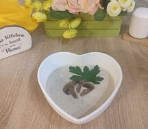 Суп-пюре из шампиньонов