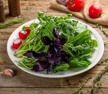 Ассорти зелени