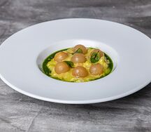 Севиче из гребешка с соусом юдзу