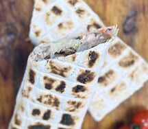 Шаурма из курицы на углях