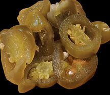 Добавки халапень