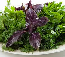 Зелень свежая в ассортименте