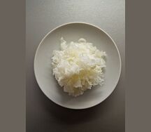 Кораллы