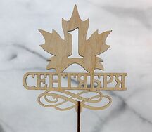 Топпер 1 сентября