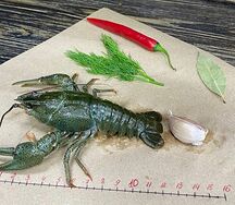 Раки средние