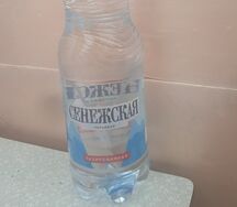 Вода Сенежская газированная 