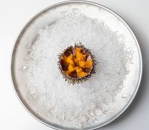 Морской еж