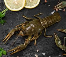 Деликатесный