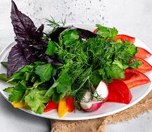 Нарезка из свежих овощей с зеленью