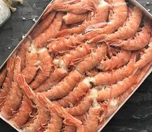 Лангустины крупные