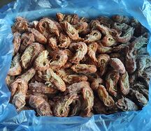 Креветка Шримс Медведка