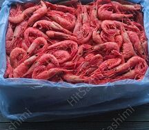 Креветки северные