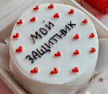 Бенто-торт Мой защитник