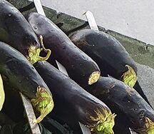 Баклажан на мангале