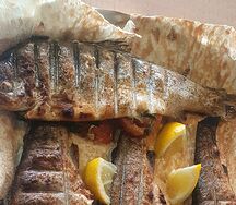 Радужная форель