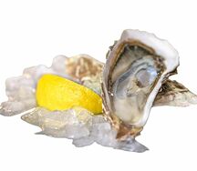 Устрица открытая Сахалинская