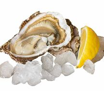 Устрица открытая Танака