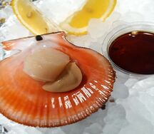 Филе исландского гребешка на раковине