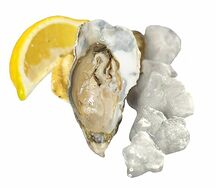 Устрица открытая Фин Де Клер