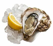 Устрица открытая Ромаринская