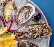 Устрица Касабланка