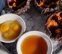 Трио морских ежей