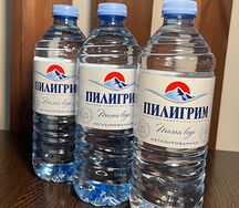 Пилигрим