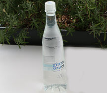 Вода Ginza Water негазированная