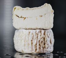 Лактик с белыми грибами