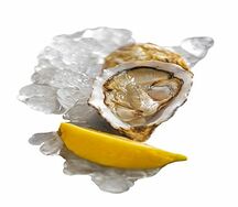 Устрица открытая Крымская