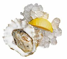 Устрица открытая Шима