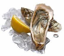 Устрица открытая Императорская