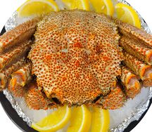 Сет Колючий краб вареный целый