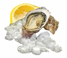 Устрица открытая Муроцу