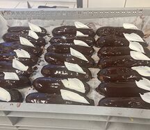 Эклер шоколадный