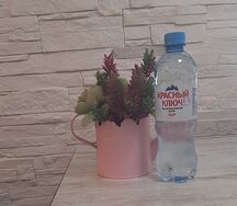 Вода Красный ключ без газа