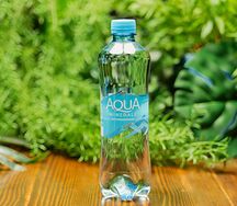 Aqua Minerale негазированная