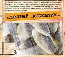 Желтый полосатик