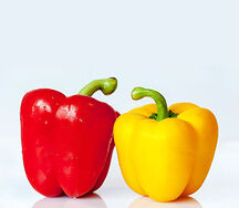 Red/Yellow Pepper