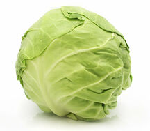Cabbage Green Head