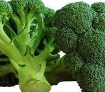 Broccoli