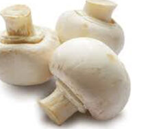 Button Mushrooms Pack